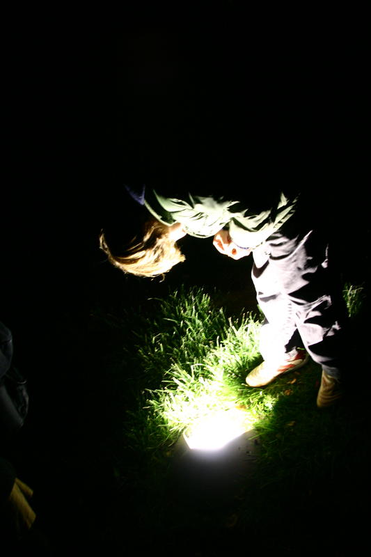 2004 - Générik Vapeur ©Pierre Soissons