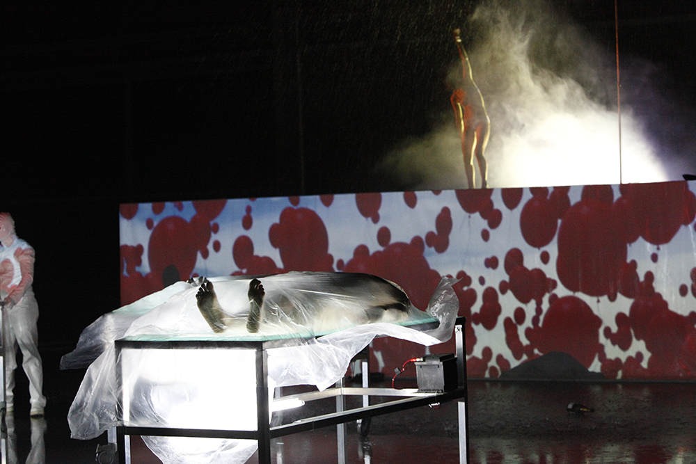 2010 - Materia Prima ©Pierre Soissons