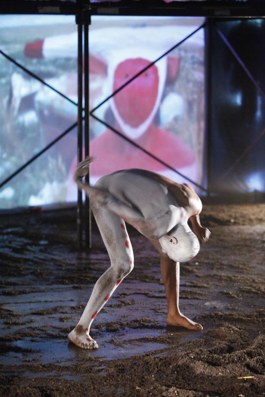 2010 - Teatro del Silencio ©Pierre Soissons