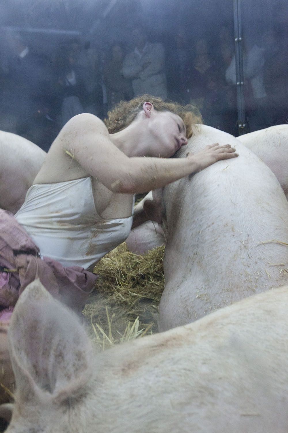 2011 - Porcopolis ©Pierre Soissons