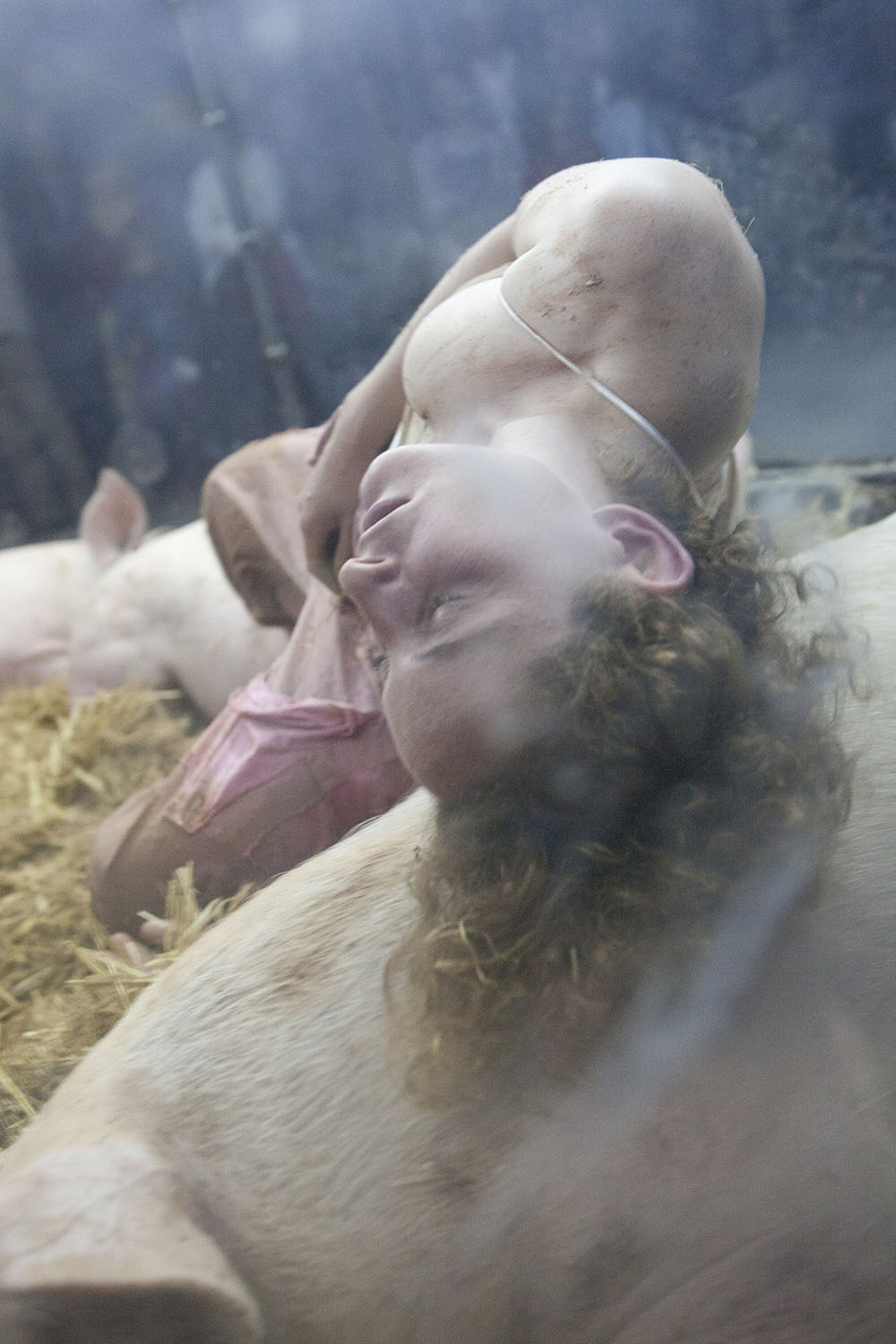 2011 - Porcopolis ©Pierre Soissons