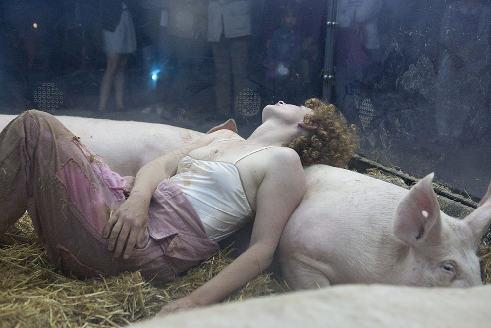 2011 - Porcopolis ©Pierre Soissons