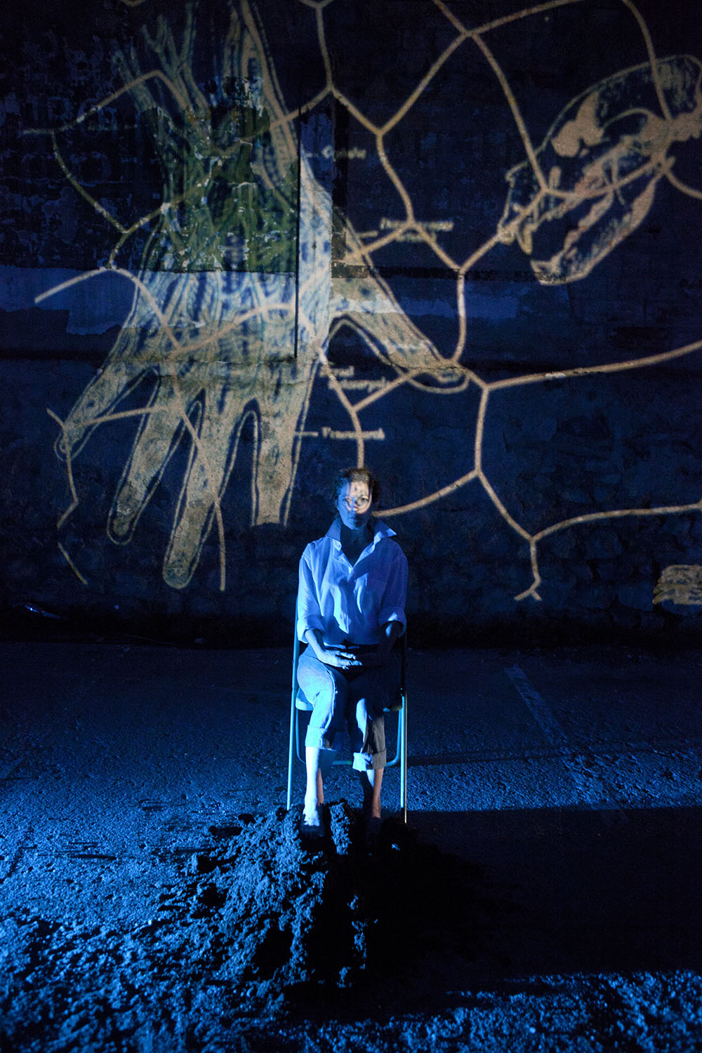 2011 - Porcopolis ©Pierre Soissons