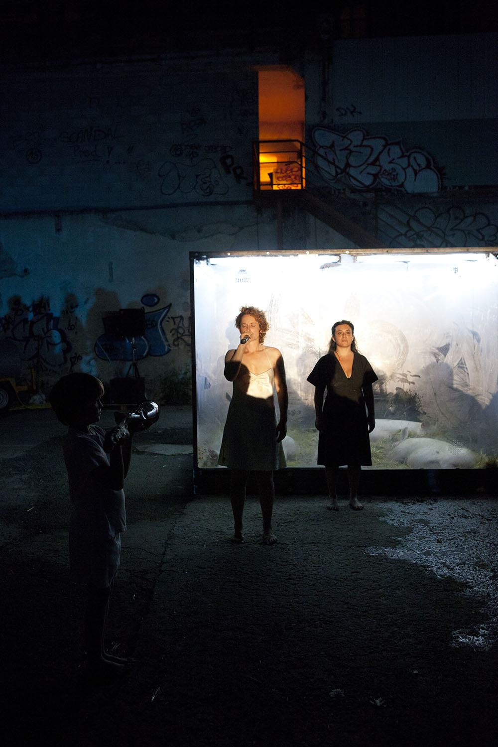 2011 - Porcopolis ©Pierre Soissons