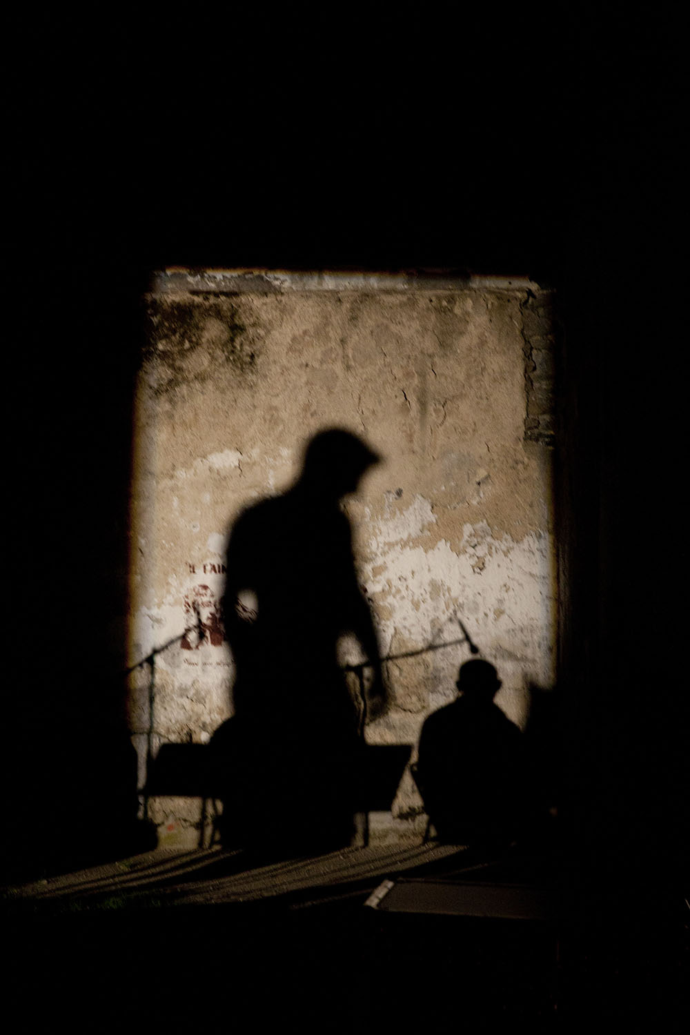 2011 - Porcopolis ©Pierre Soissons