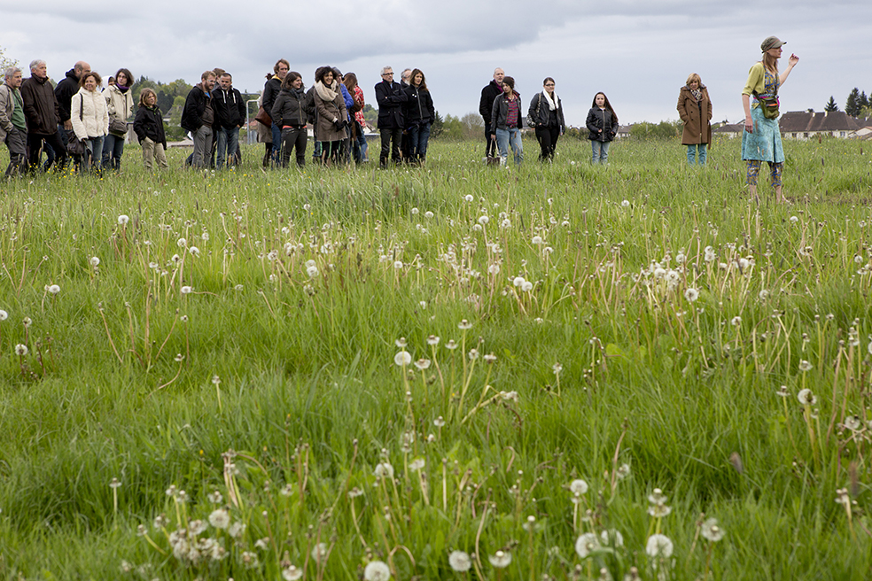 2014 - Delices DADA ©Pierre Soissons