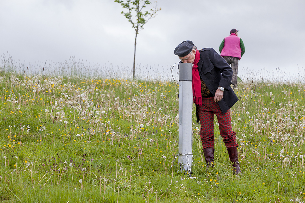 2014 - Delices DADA ©Pierre Soissons