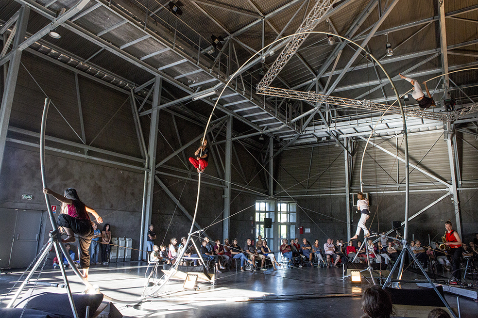 2017 - Rhizome ©Pierre Soissons