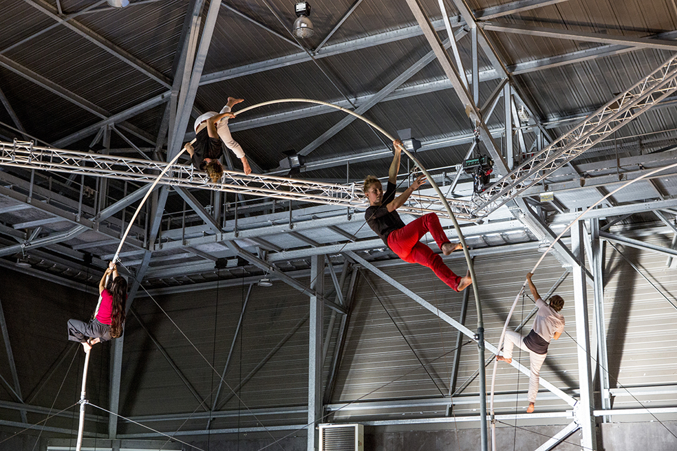 2017 - Rhizome ©Pierre Soissons