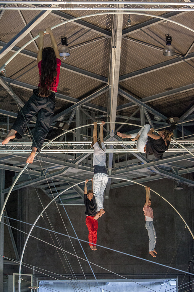 2017 - Rhizome ©Pierre Soissons