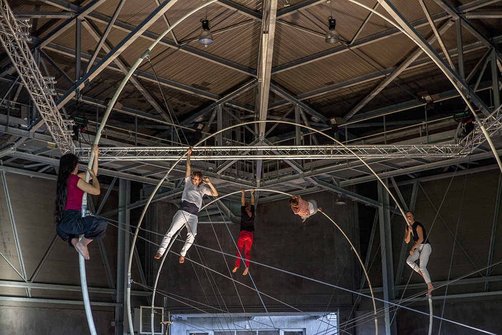 2017 - Rhizome ©Pierre Soissons