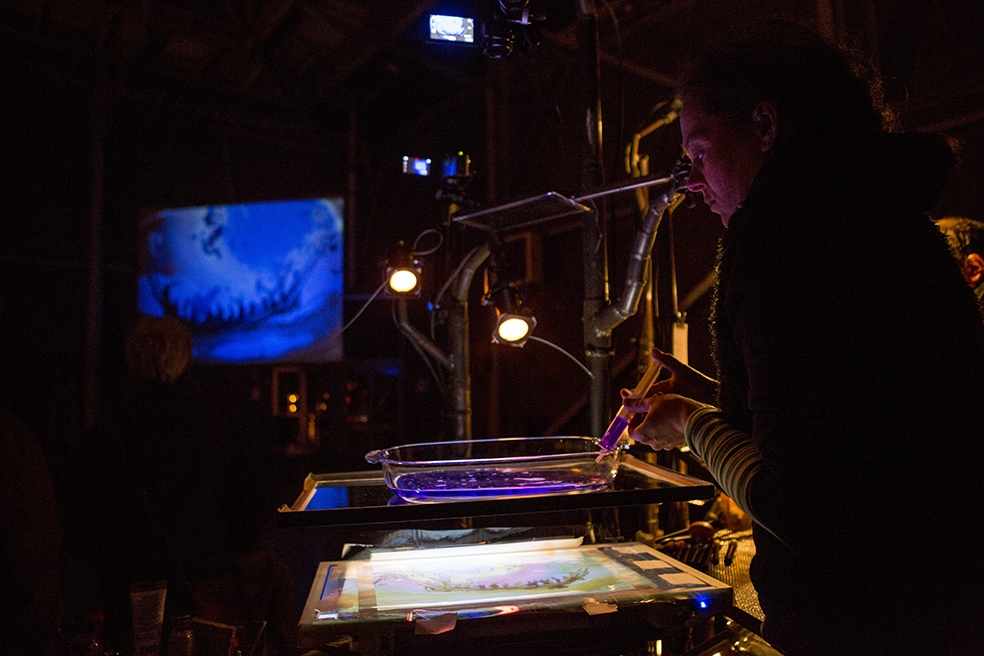 2018 - Carabosse ©Pierre Soissons