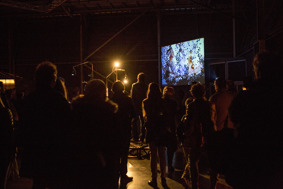 2018 - Carabosse ©Pierre Soissons