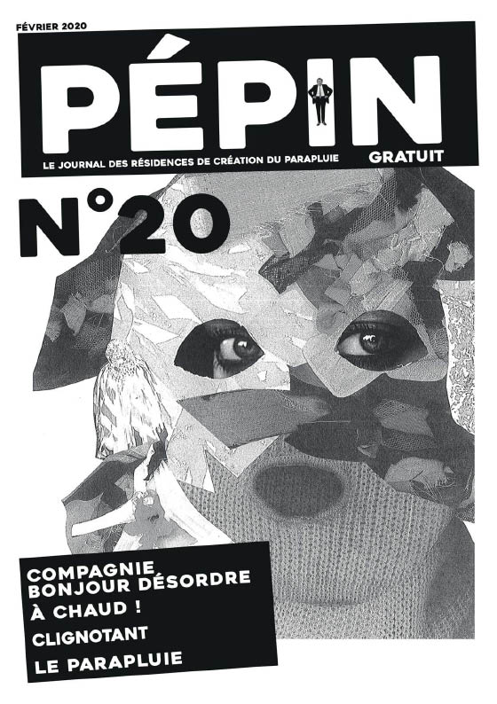 Illustration Pepin 20