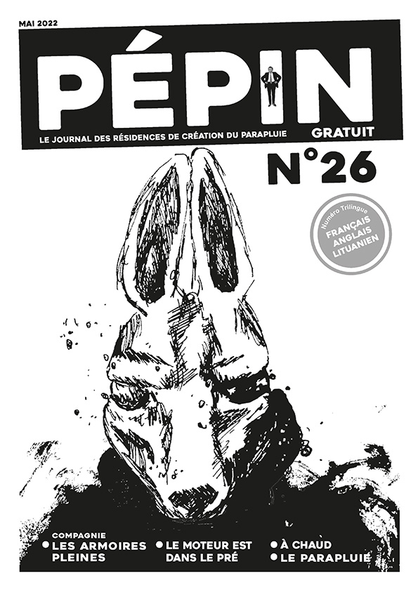 Illustration Pepin 24