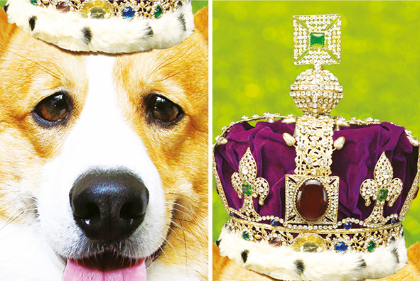 26000 Couverts c P Girot web